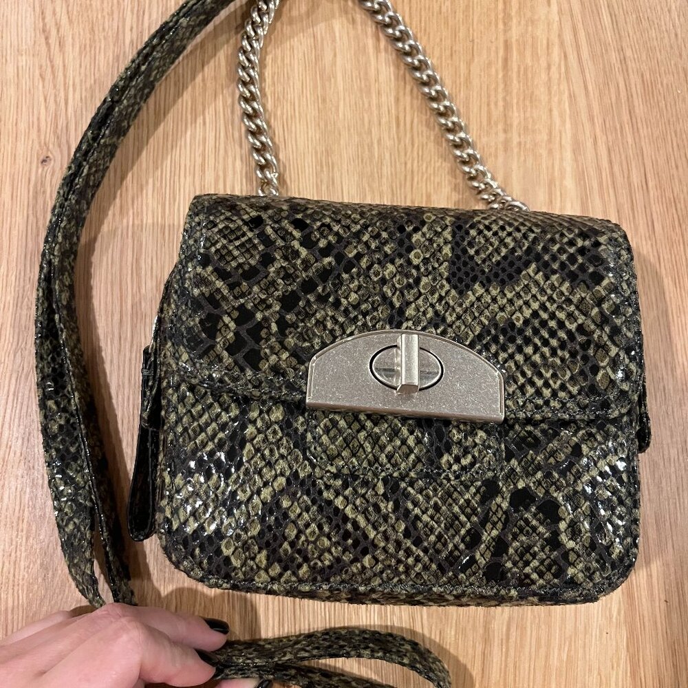 Banana Republic Green Snakeskin Print Mini Crossbody